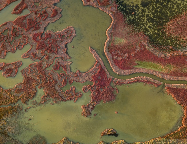 Marketplace for Geopolitical